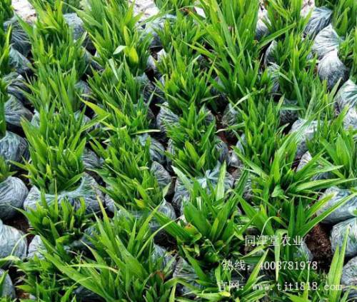 23084632e973218bce9d372b75e8dc9